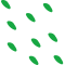 disz1